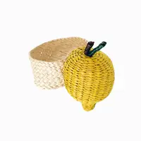 Lemon Fruit Icara Napkin Ring