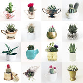 Load image into Gallery viewer, Succulents Puzzle
